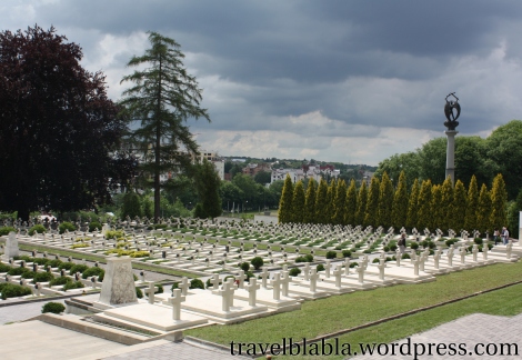 Widoczny z Cmentarza Orląt pomnik Strzelców Siczowych